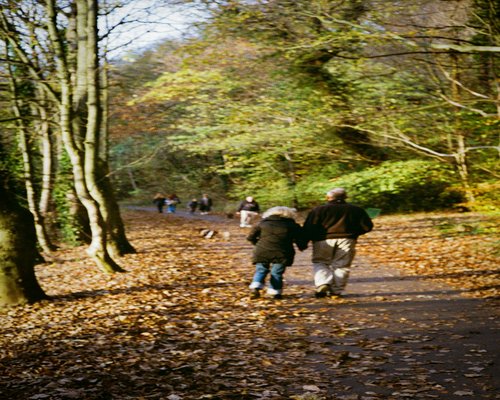 People walking in a park surrounded by nature